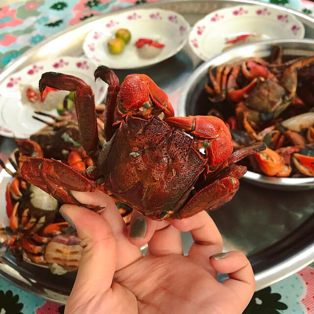 Seize the flavorful spirit of Ca Mau Travel